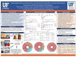 MDPI Virtual Conference Poster.pdf